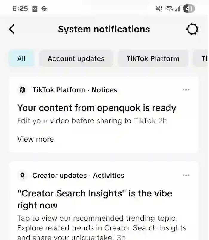 Your Inbox in Tiktok App
